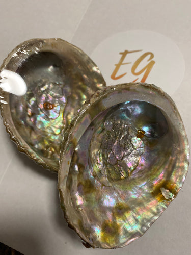 Abalone Shells